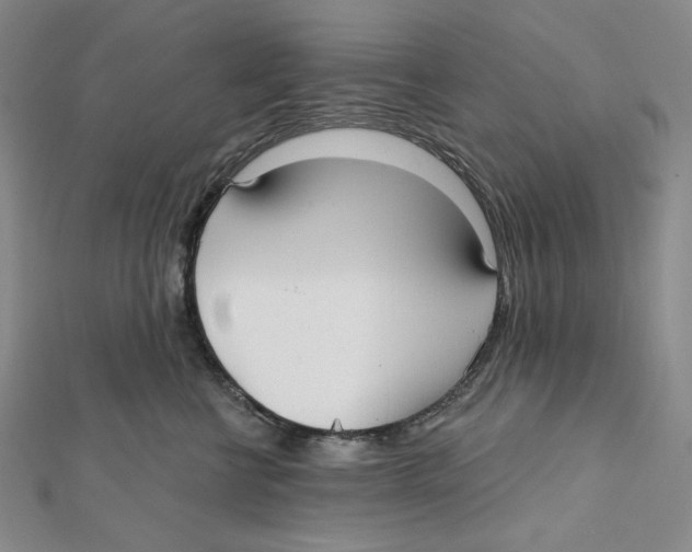 X0000112020570200908311157