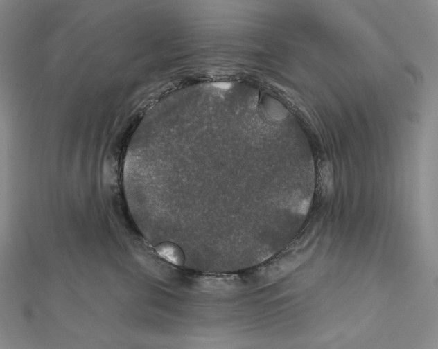 X0000112020571200908311157