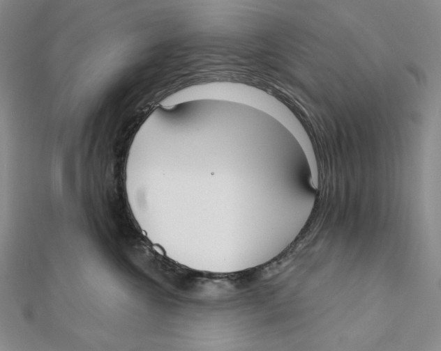 X0000112020572200908311157