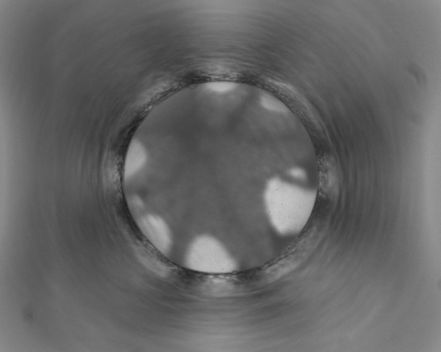 X0000112020573200908311157