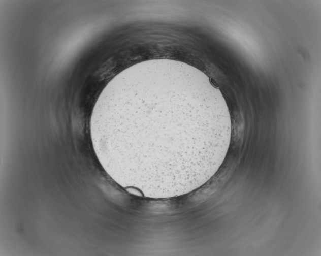 X0000112020574200908311157