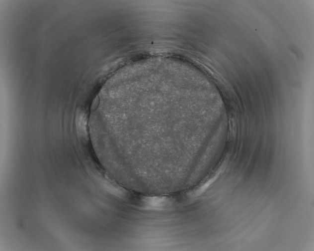 X0000112020575200908311157