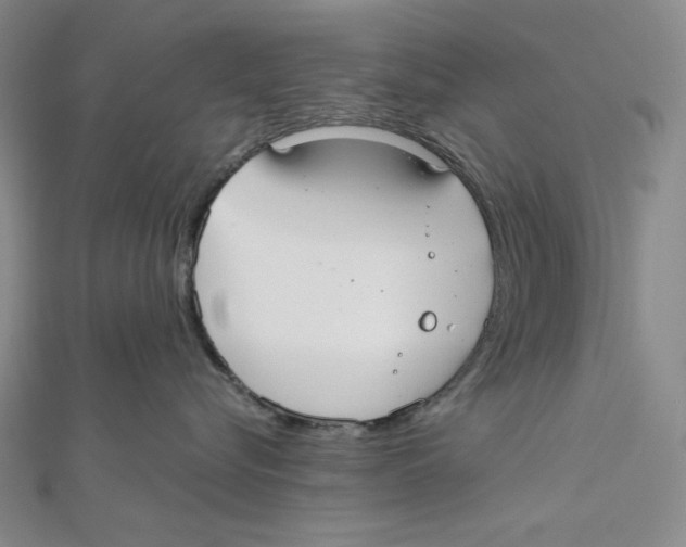 X0000112020576200908311157