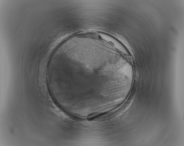 X0000112020577200908311156