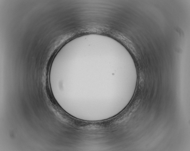 X0000112020578200908311156