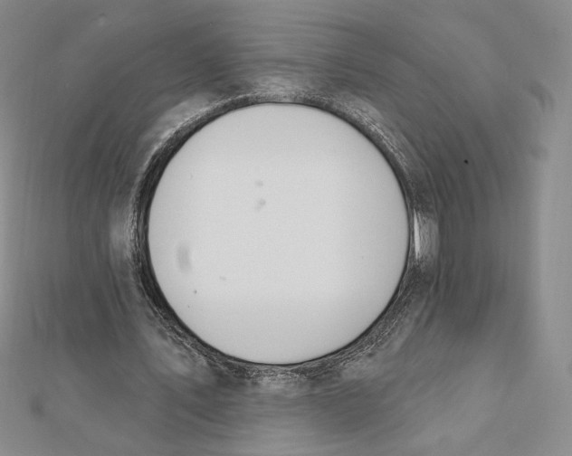 X0000112020579200908311156