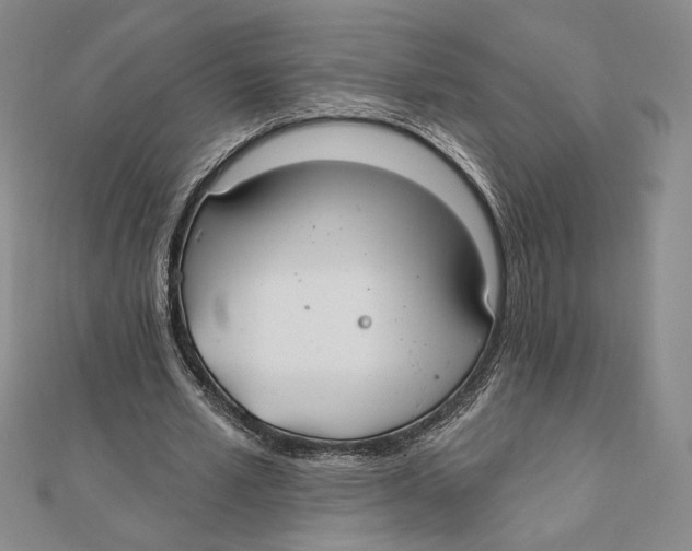 X0000112020581200908311156