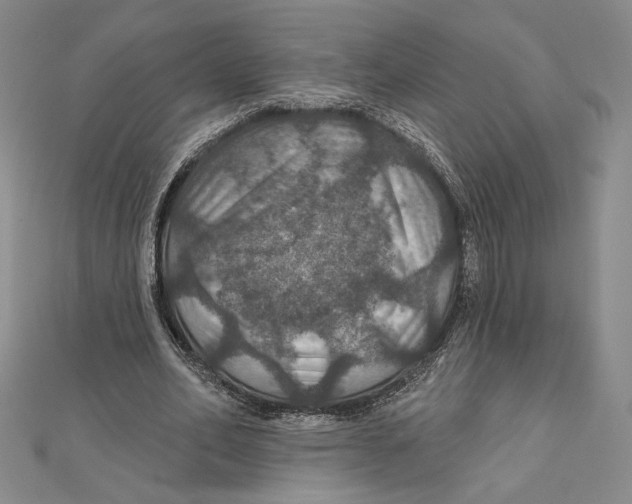 X0000112020582200908311156