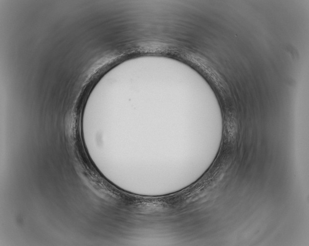 X0000112020583200908311156