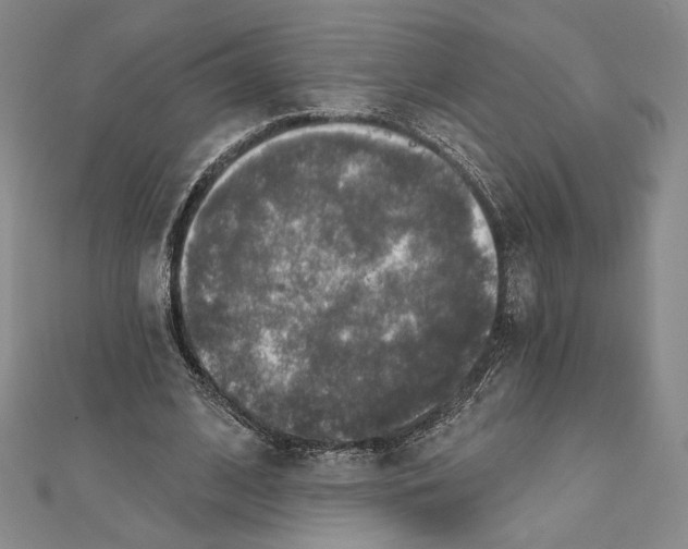 X0000112020584200908311156