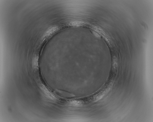 X0000112020585200908311156