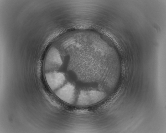 X0000112020586200908311156