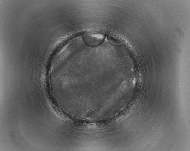 X0000112020588200908311156