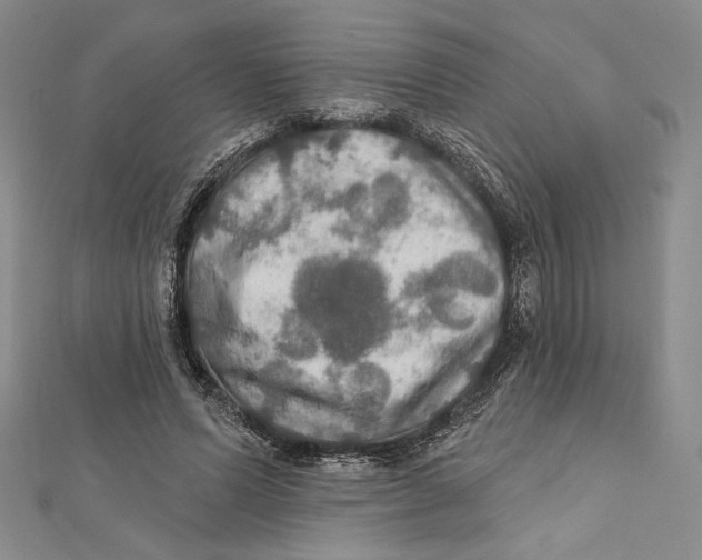 X0000112020591200908311156