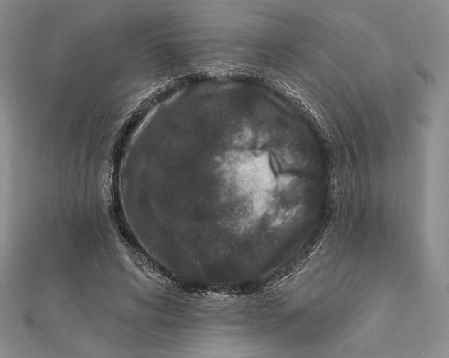 X0000112020592200908311156