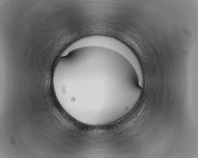 X0000112020593200908311156