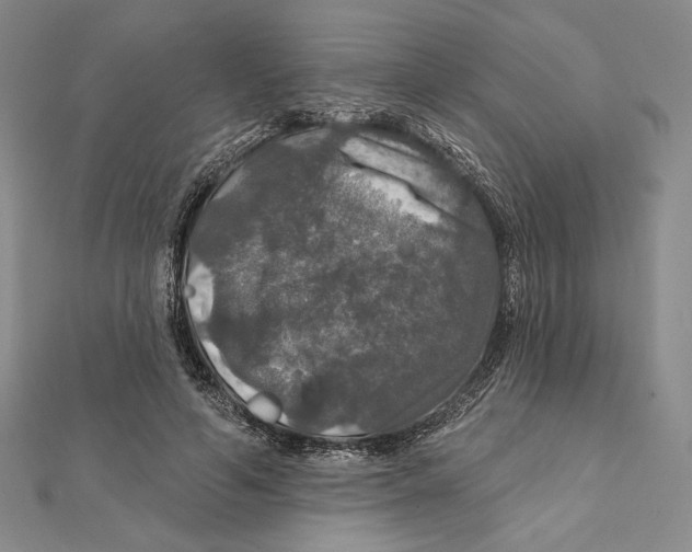 X0000112020594200908311156