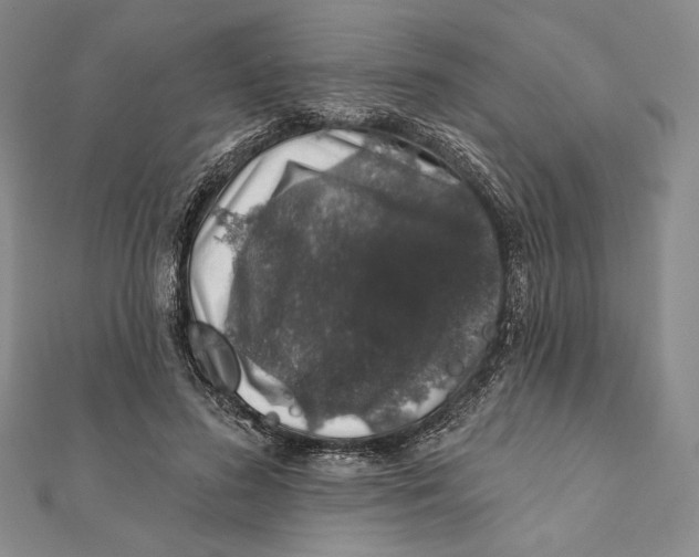 X0000112020596200908311156