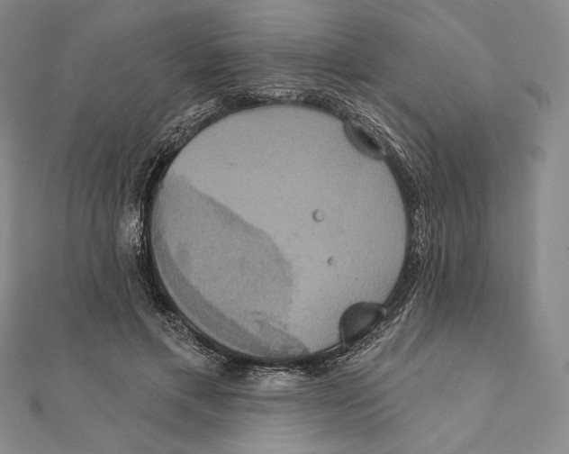 X0000112020597200908311156