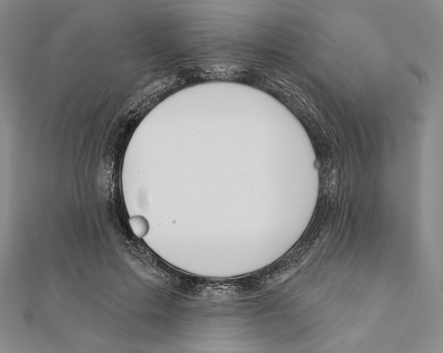 X0000112020599200908311156