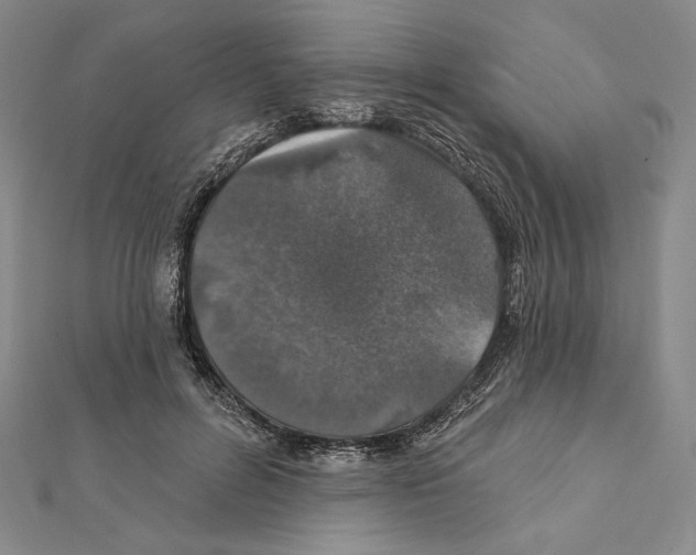 X0000112020600200908311156