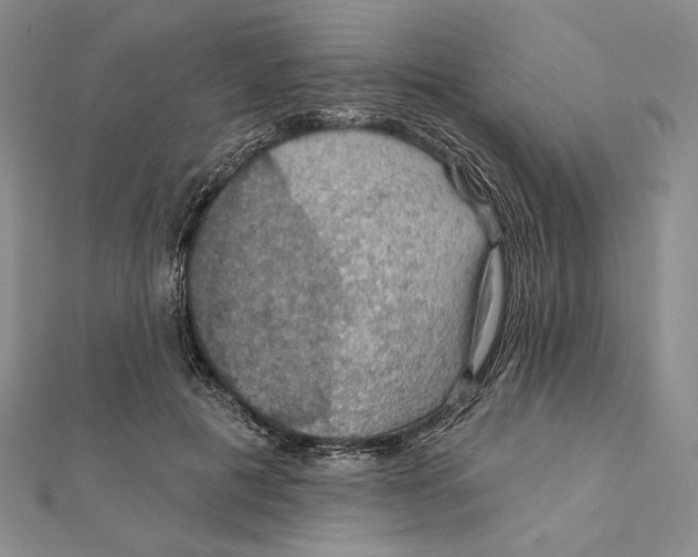 X0000112020601200908311156