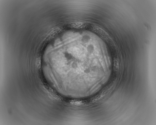 X0000112020602200908311156