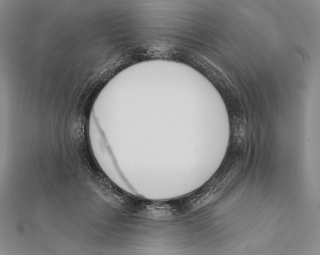 X0000112020603200908311156