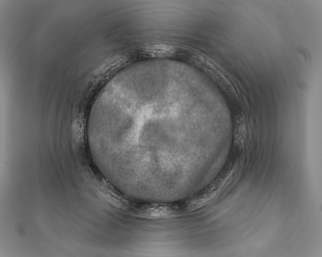 X0000112020604200908311156