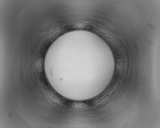 X0000112020605200908311156