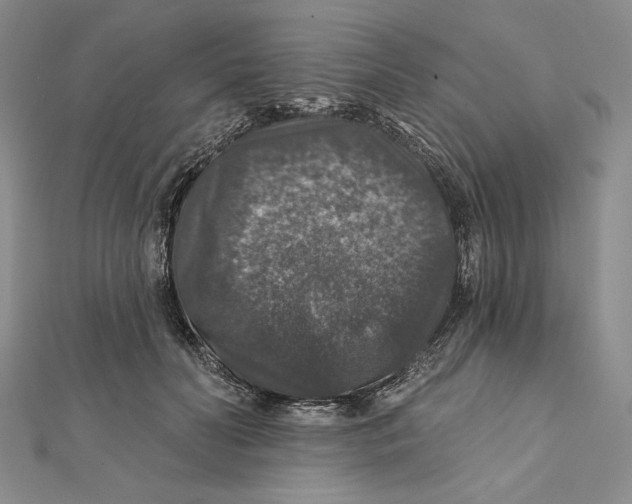 X0000112020606200908311156