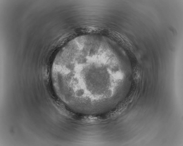 X0000112020607200908311156