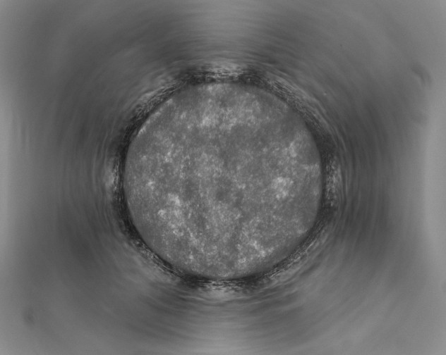 X0000112020608200908311156