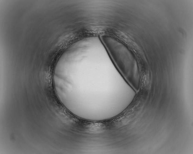 X0000112020609200908311156