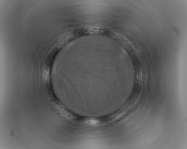 X0000112020610200908311156