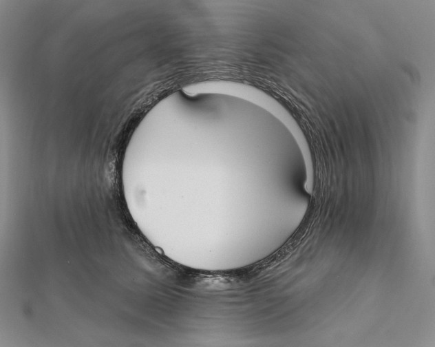 X0000112020611200908311156