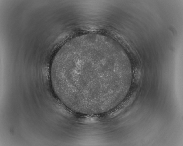 X0000112020612200908311156