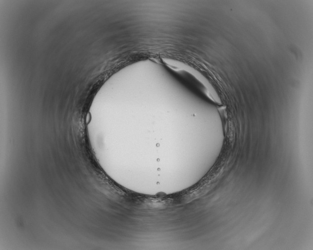 X0000112020613200908311156