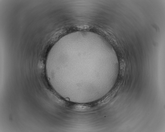 X0000112020614200908311156