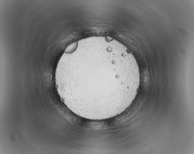 X0000112020615200908311156