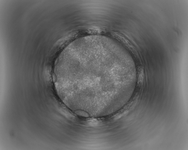 X0000112020616200908311156