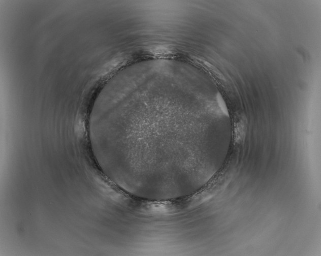 X0000112020618200908311156