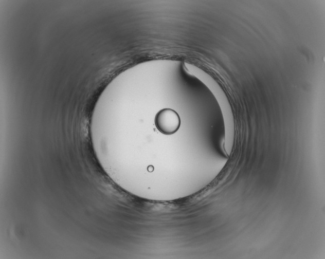 X0000112020621200908311156