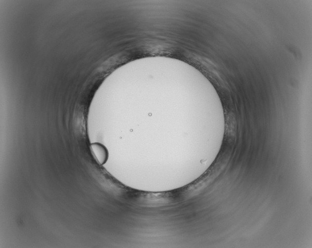 X0000112020622200908311156