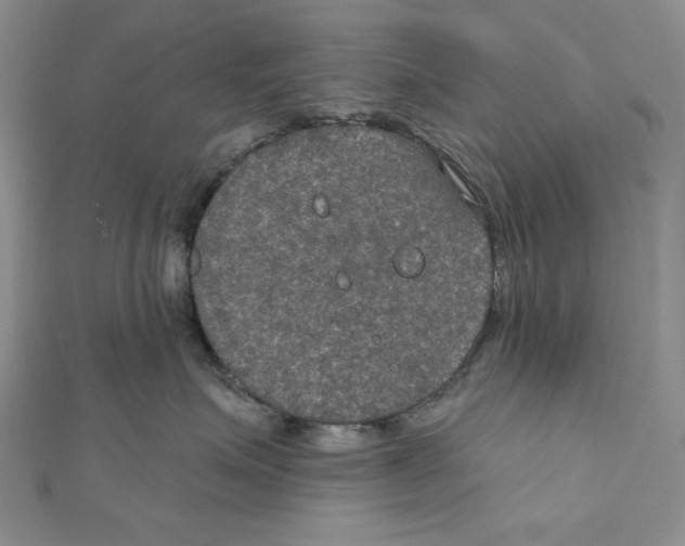 X0000112020623200908311156