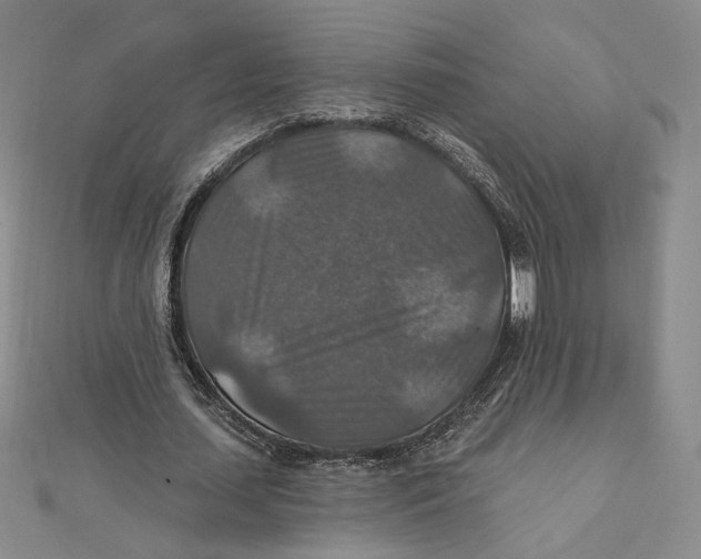 X0000112020627200908311155