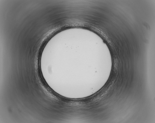 X0000112020629200908311155