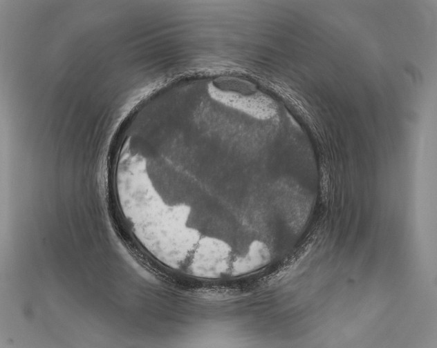 X0000112020630200908311155