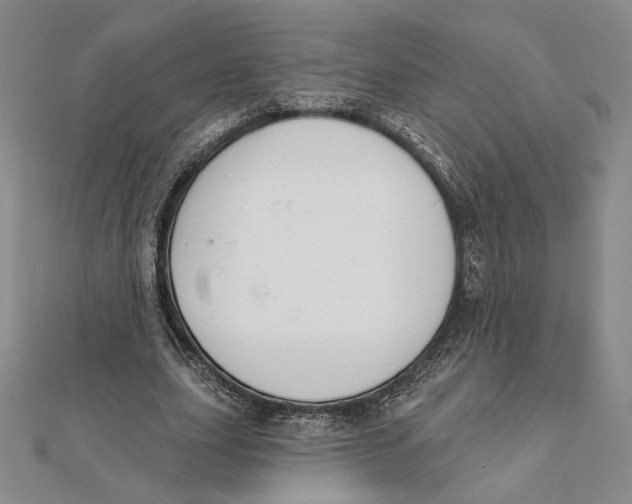 X0000112020631200908311155