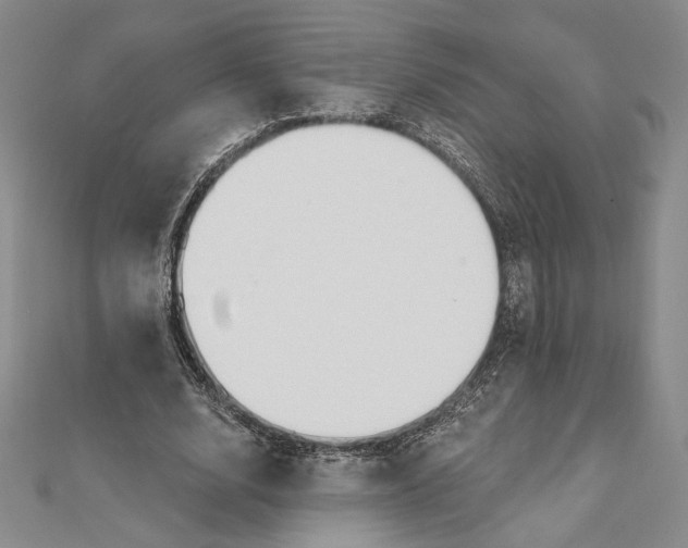 X0000112020632200908311155